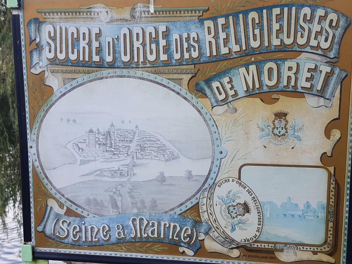 La Montignonne Montigny-sur-Loing Exterior foto